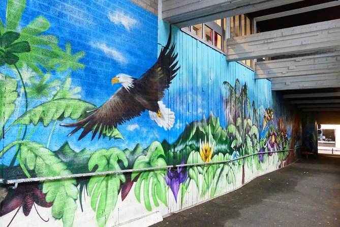 1,5 hour private guided Mural Street Art tour in Arnhem - Starting near Arnhem Centraal