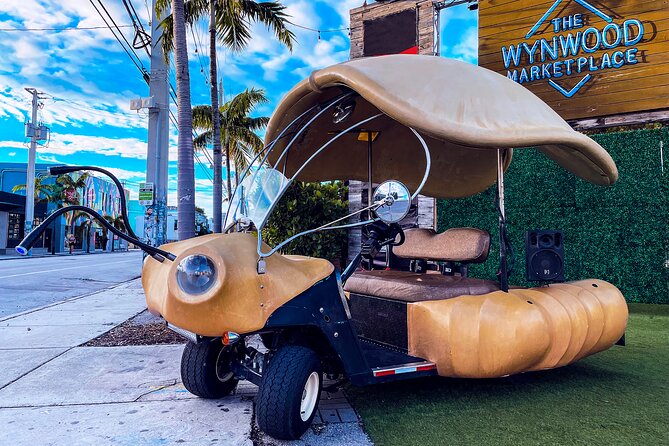 1 Hour Lady Buggy Art Tour Experience in Wynwood - Cruising Wynwood in a Lady Buggy