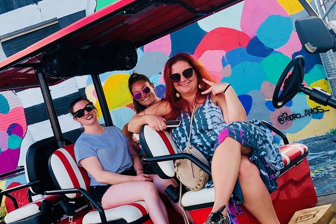 1 Hour WYNWOOD BUGGIES tour - Why the buggy helps you understand Wynwood
