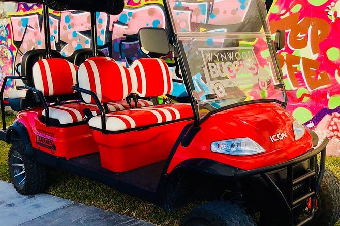 1 Hour WYNWOOD BUGGIES tour - Stops, stories, and time for photos