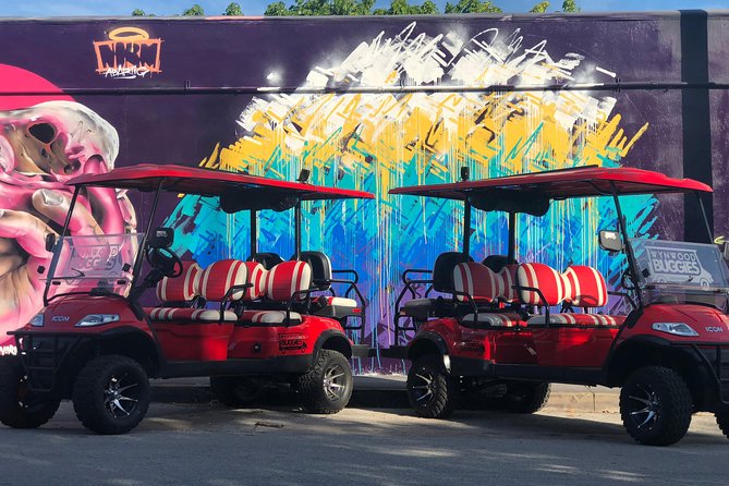1 Hour WYNWOOD BUGGIES tour - What the artist-guides add