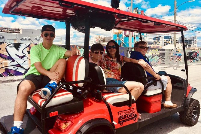 1 Hour WYNWOOD BUGGIES tour - Who should book this Wynwood tour?