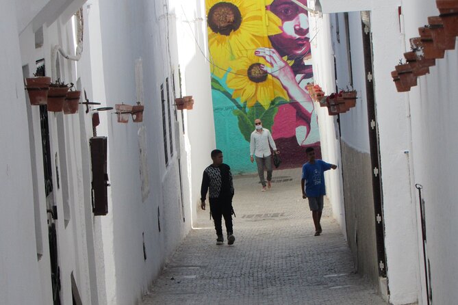 14-Day Private Morocco Street Art Tour - Why this Morocco street art route is different