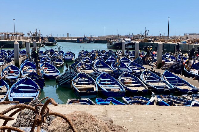 14-Day Private Morocco Street Art Tour - Day 4: Argan oil and arrival in Essaouira