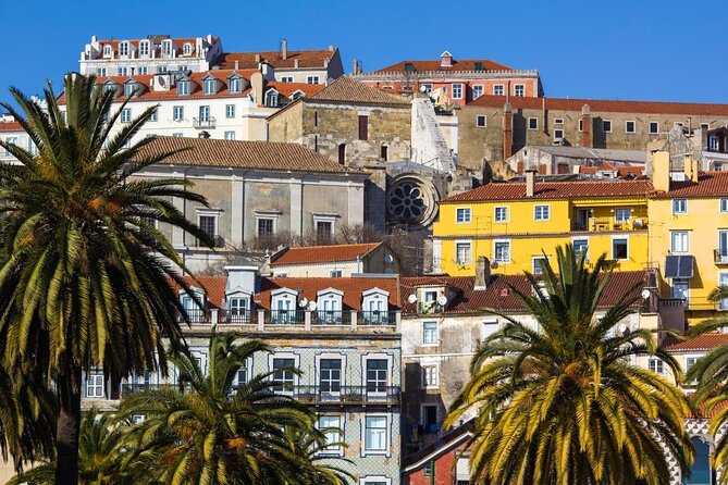 3-Hour Guided Street Art Walking Tour of Lisbon - Key points to know before booking
