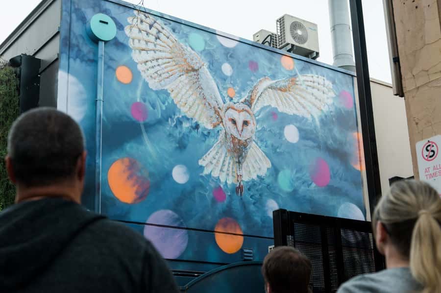 Adelaide: Paint and Palate Street Art Tour - Why Jimmy C gives this Adelaide walk a clear focus
