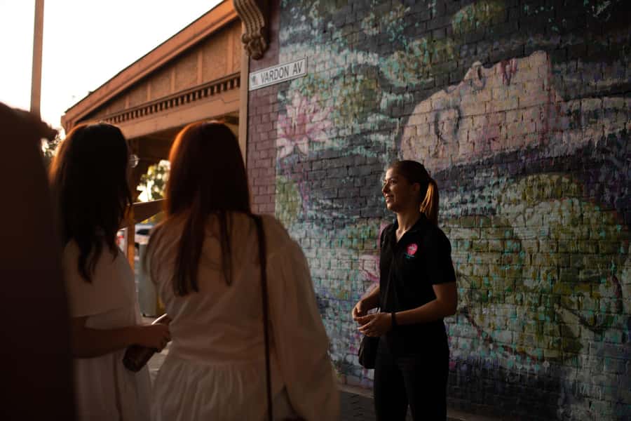 Adelaide: Paint and Palate Street Art Tour - What the two-hour route feels like in practice