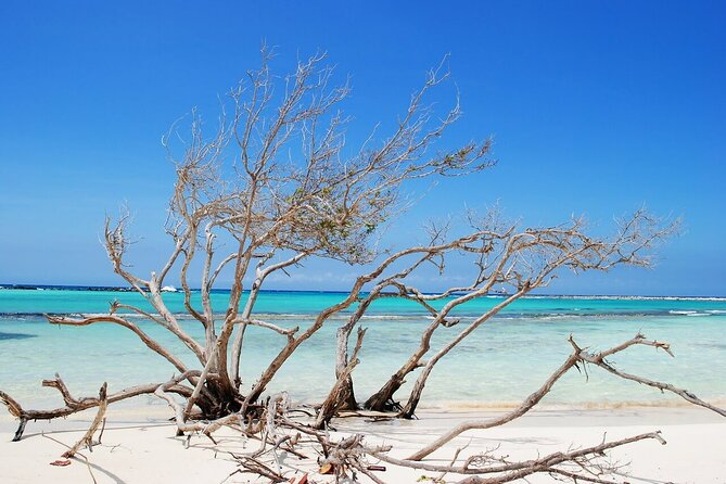 Baby Beach and San Nicolas Art Murals Private EZ Raider Adventure - Boca Grandi shows Aruba’s wilder side