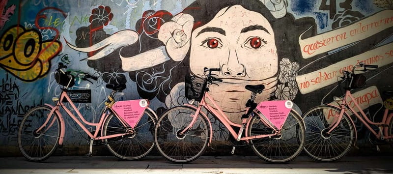 Barcelona | StreetArt Bike Tour Moco Museum - From Tallers to CCCB and MACBA