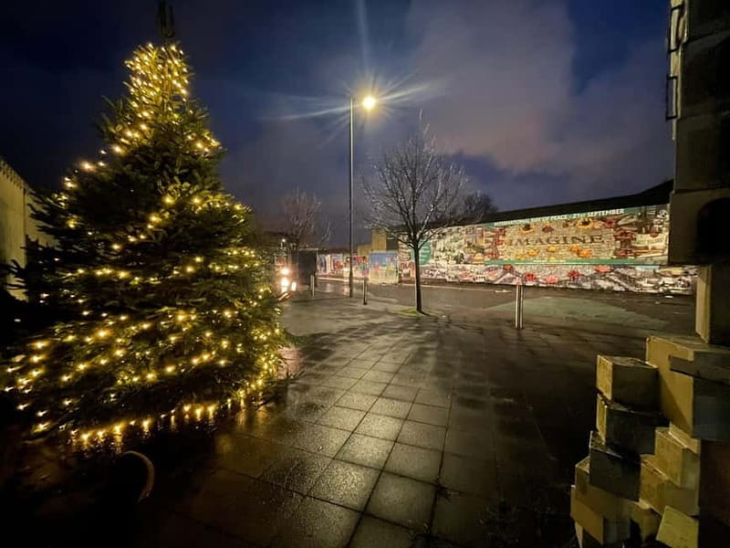 Belfast: Peace Wall & Mural Tour - Starting at the Leonardo Hotel Belfast