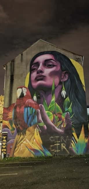 Belfast : Pub Music , Street Art Experience Walking Tour - Is $30 a Fair Price?