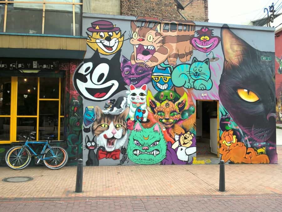 Bogotá Street Art and Graffiti Tour 3 Hrs - Reading the city center’s graffiti