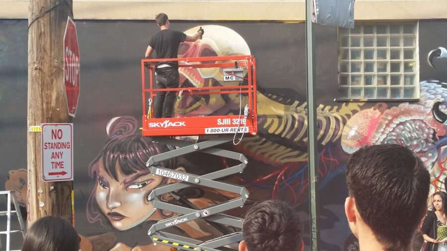 Brooklyn: Bushwick Street Art Walking Tour - Who will enjoy this tour most?