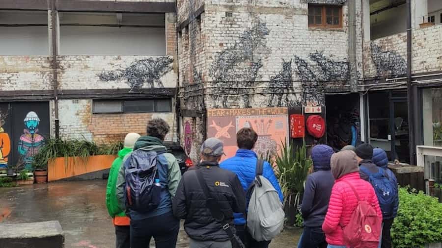 Cape Town: Inspiring sustainable change through Street Art - What the 150-minute route gives you