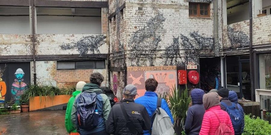 Cape Town: Inspiring sustainable change through Street Art - Who should book this Cape Town art walk?