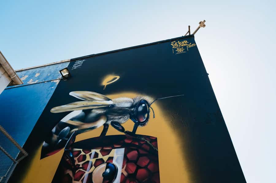 Cape Town: Street Art Walking Tour in Woodstock - The Old Biscuit Mill, with a Sunday warning