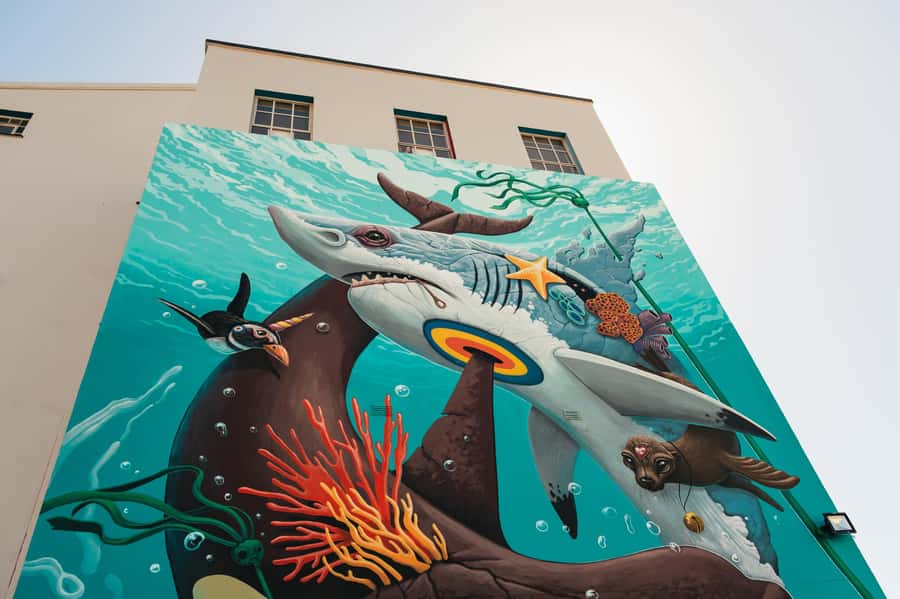 Cape Town: Street Art Walking Tour in Woodstock - Starting at Salt Circle Arcade