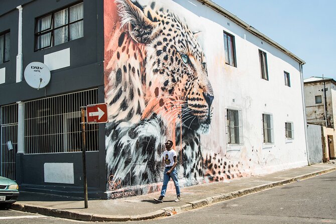 Cape Town: Woodstock Street Art & Culture Tour - Salt River’s murals and festival art