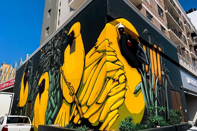Cape Town Woodstock Street Art Walking Tour - Is the $31.63 price fair?