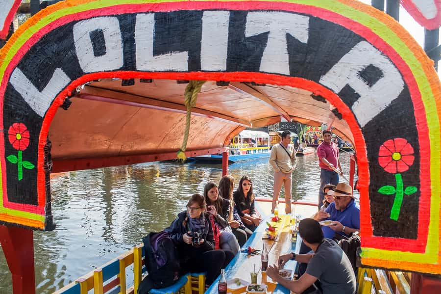 CDMX: Xochimilco, Coyoacan, Frida Kahlo Museum & Murals Tour - Coyoacan, with just enough time to get curious