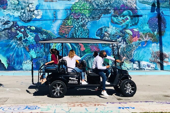 City Tour: Miami, Wynwood, and Little Habana + Cruise Tour - What the Small Van Means for You