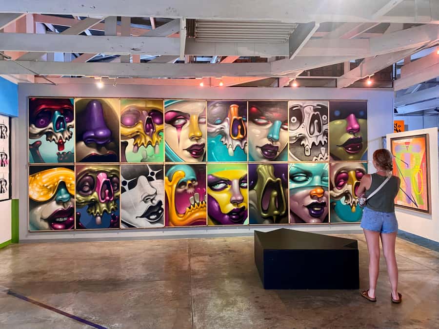 Colours of Johannesburg: A Graffiti & Street Art Tour - The graffiti store: art you can take home