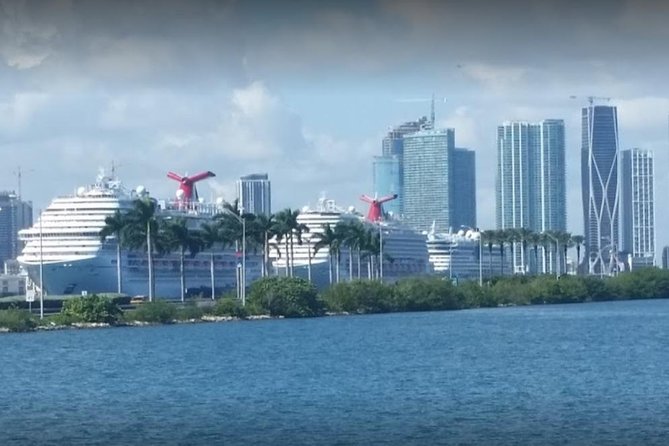 COMBO Miami City & Boat Tours ,Stops at Wynwood and Little Havana - Wynwood offers a quick look at Miami’s street art