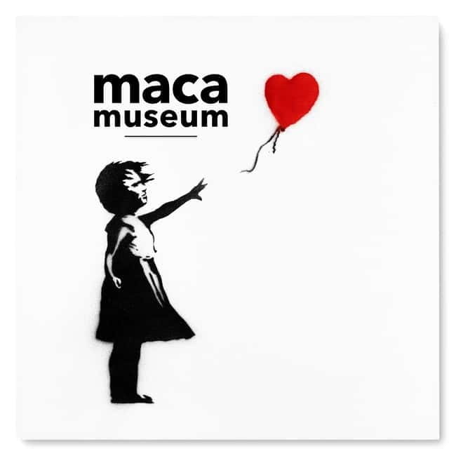 Copenhagen: MACA Museum: Banksy & Street Art Entry Ticket - Key details at a glance