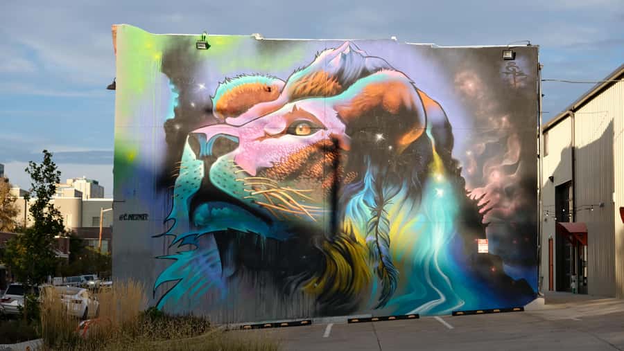 Dark Side of Denver – RiNo’s True Crime and Murals Tour - Who should book this walk