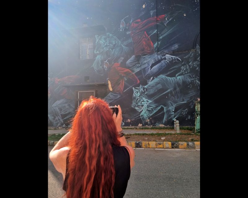 Delhi Street Art Tour: Explore the Murals & Visit a Stepwell - Should you book it?