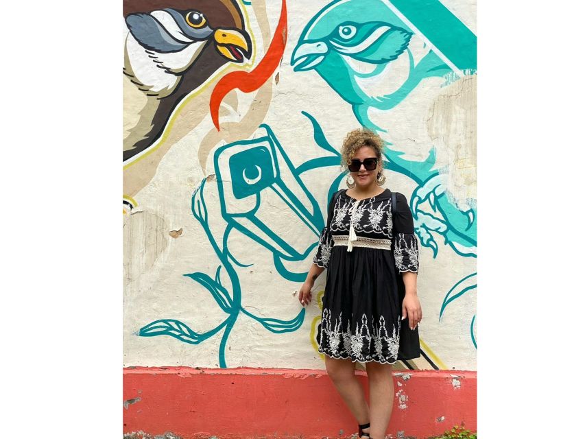 Delhi Street Art Tour: Explore the Murals & Visit a Stepwell - Who should book this Delhi art tour?