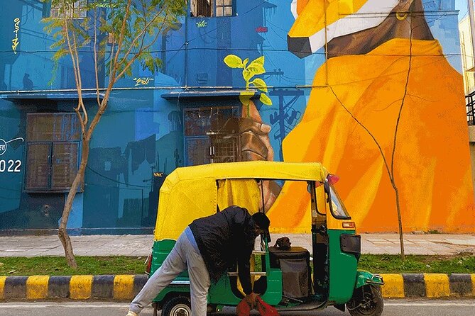Delhi Street Art Walk in Lodhi Art District with Chai & Food - Who will enjoy this walk most