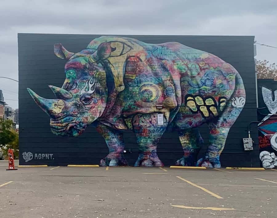 Denver: RiNo Art District Graffiti and Street Art Tour - The 15-minute pause at Denver Central Market