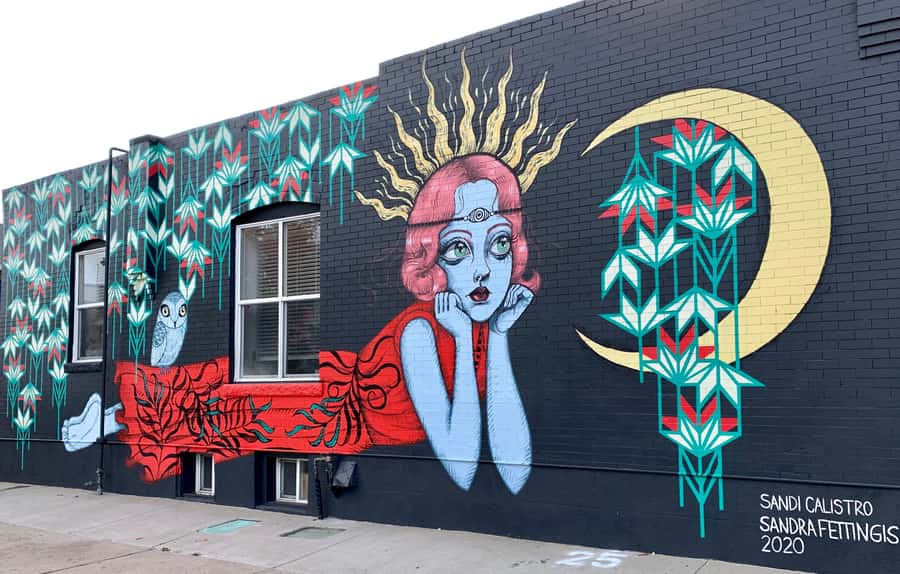 Denver: RiNo Art District Graffiti and Street Art Tour - Is $35 a good value?