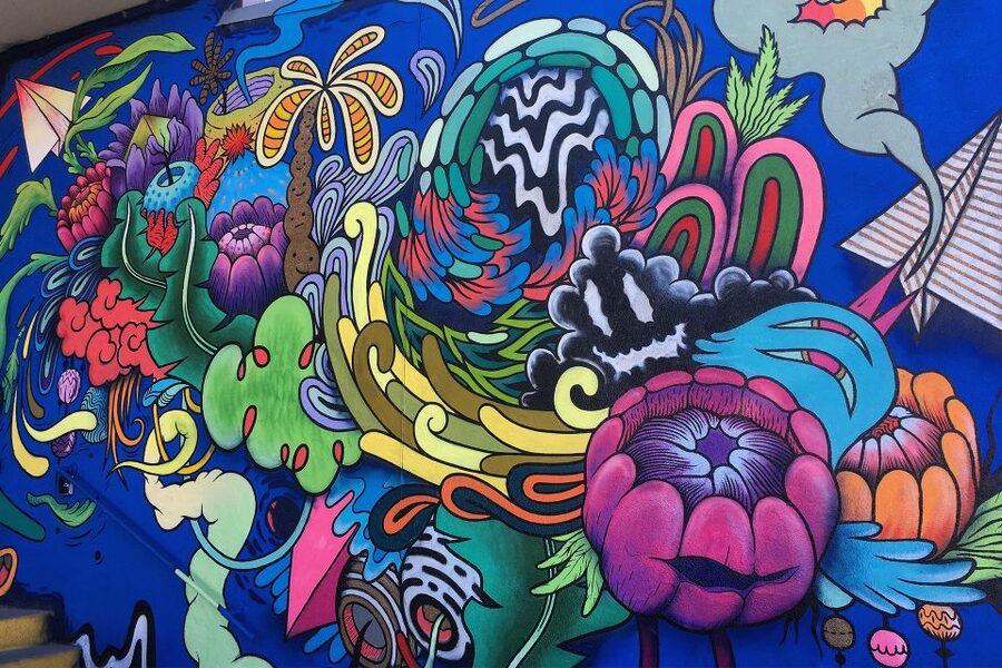 Denver: Street Art, Murals, and Graffiti Walking Tour - Why RiNo works so well for a street art walk