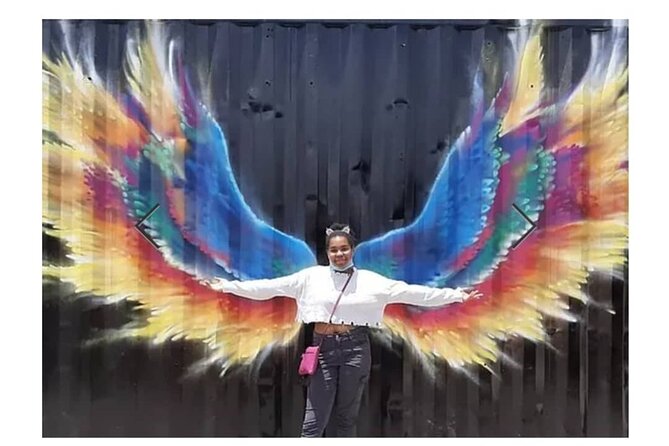 Dutch St Maarten Mural Picture Tour - Key points to know before booking