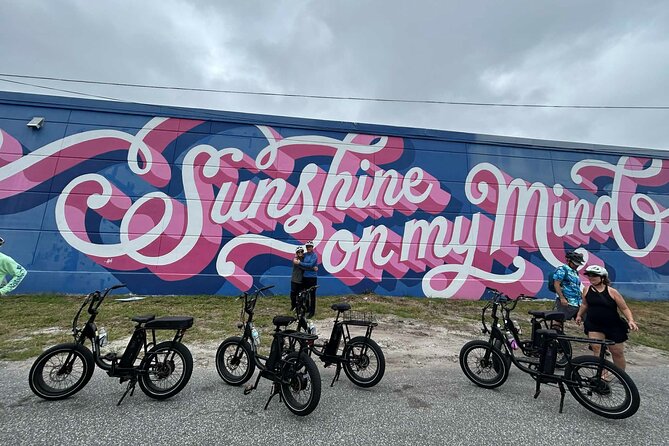 E-Bike Guided Tour Downtown St Pete: Sights & Murals - Starting at Flora Wylie Park and Coffee Pot Bayou