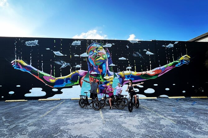 E-Bike Guided Tour Downtown St Pete: Sights & Murals - Pioneer Park, Albert Whitted Park, and the airport view
