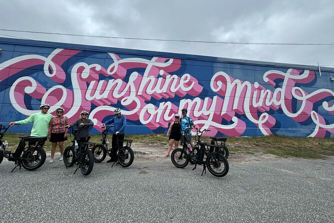 E-Bike Guided Tour Downtown St Pete: Sights & Murals - Palms, sculptures, and the Vinoy waterfront