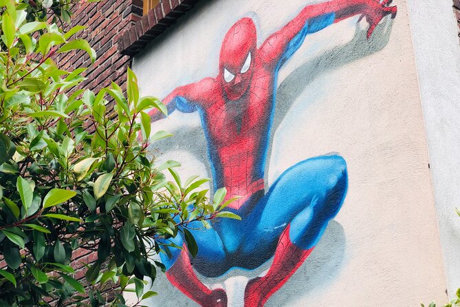 Eindhoven: Self-Guided Individual Street Art Tour - Bike rental and group value