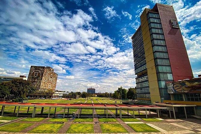 EXCLUSIVE TOUR: Murals+Ciudad Universitaria Stadium-small groups - Murals by Diego Rivera and other campus artwork