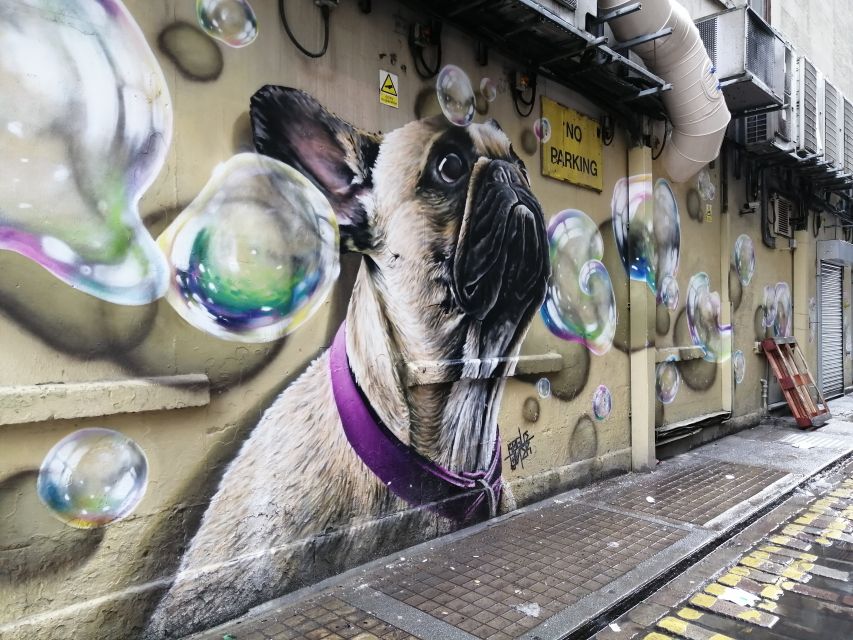 Glasgow: Street Art Guided Walking Tour - The Clutha and the city’s emotional memory