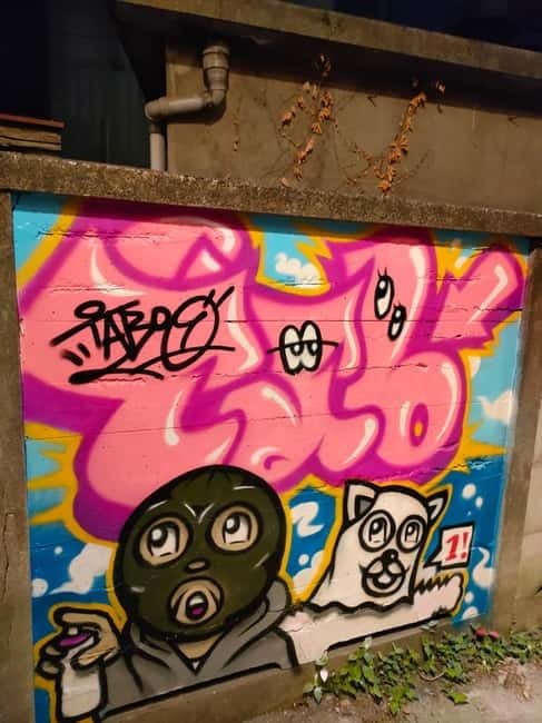 Graffiti in Tokyo Walking Tour: Shibuya and Harajuku - Walking conditions and practical limits