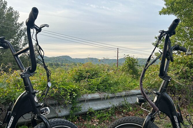 Guided Asheville E-bike Tour of River Arts, Mountains and Murals - Why this ride is a smart introduction to Asheville
