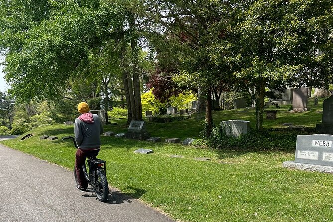 Guided Asheville E-bike Tour of River Arts, Mountains and Murals - Grove Park Inn brings the biggest views