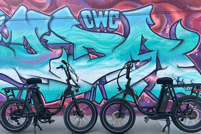 Guided Asheville E-bike Tour of River Arts, Mountains and Murals - Murals and studio energy in the River Arts District