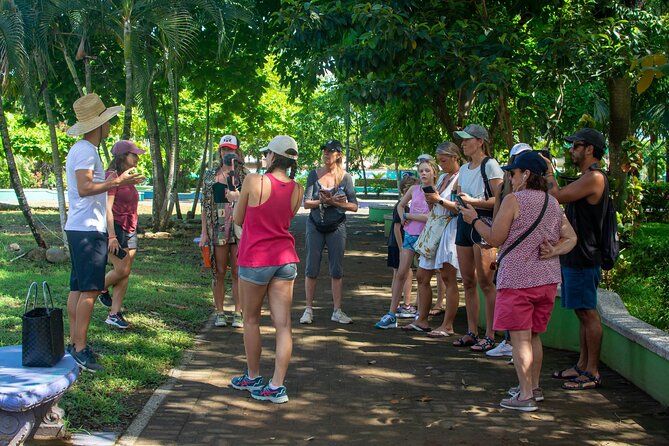 Guided Walking Street Art & Graffiti Tour in Jaco Costa Rica - Large murals in Jacó’s commercial center