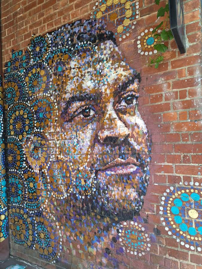 Hidden Adelaide: Laneways & Street Art Tour - Street art in more than one form