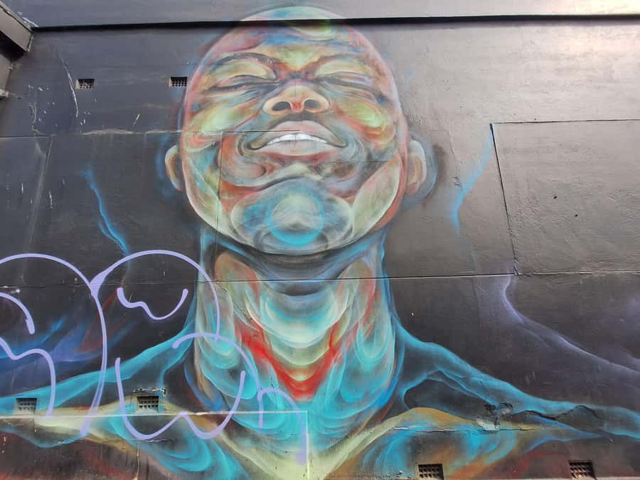 Hidden Adelaide: Laneways & Street Art Tour - Who should book this walk