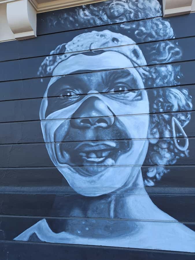 Hidden Adelaide: Laneways & Street Art Tour - The opening stretch from Pirie Street